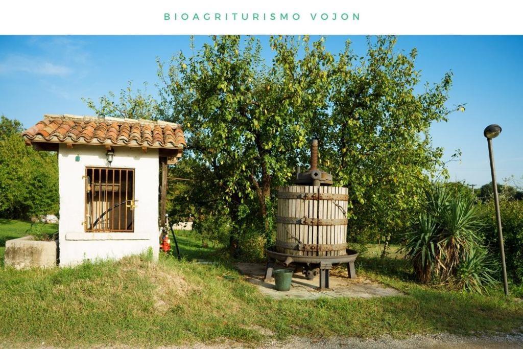 Вилла Bio Agriturismo Vojon Понти-суль-Минчо Экстерьер фото