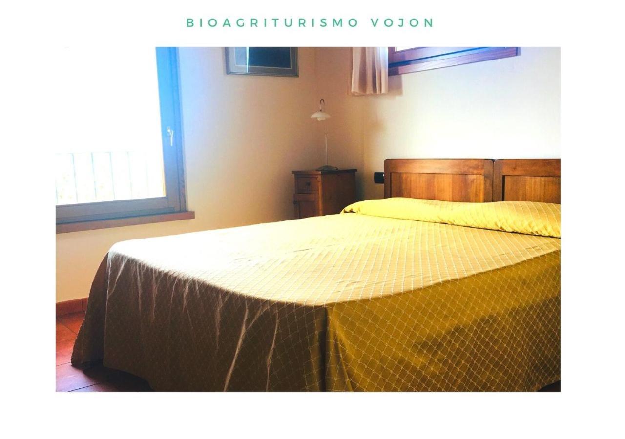 Bio Agriturismo Vojon Понти-суль-Минчо Экстерьер фото