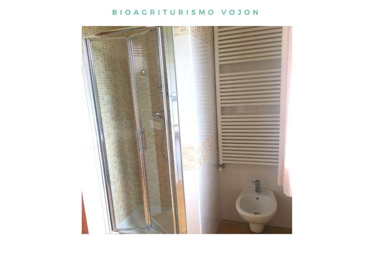 Bio Agriturismo Vojon Понти-суль-Минчо Экстерьер фото