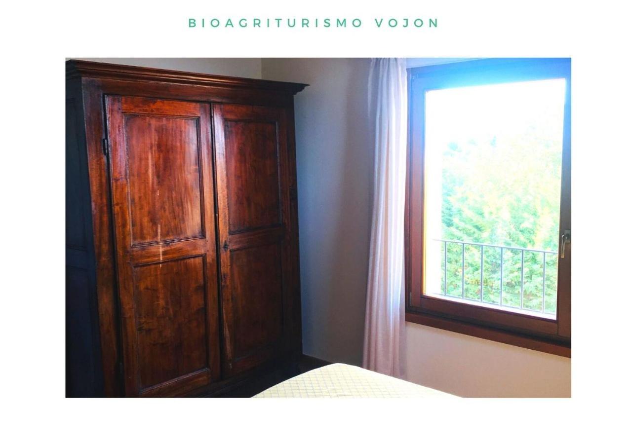 Bio Agriturismo Vojon Понти-суль-Минчо Экстерьер фото