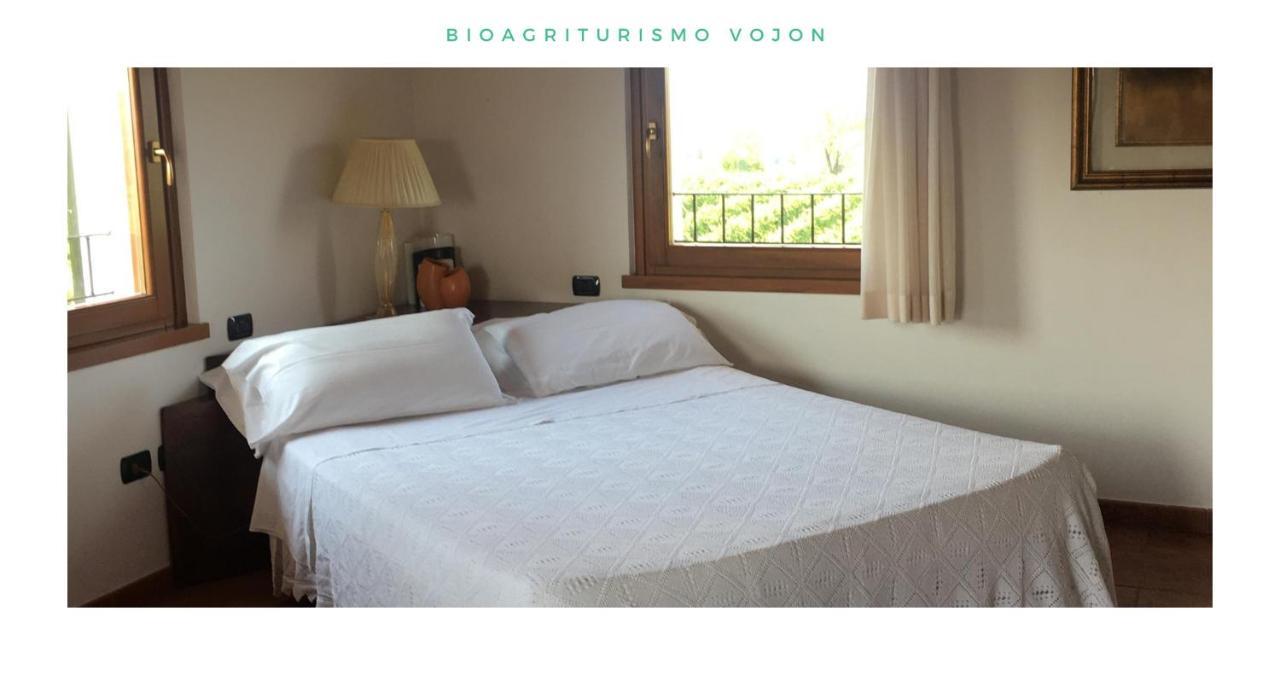 Bio Agriturismo Vojon Понти-суль-Минчо Экстерьер фото