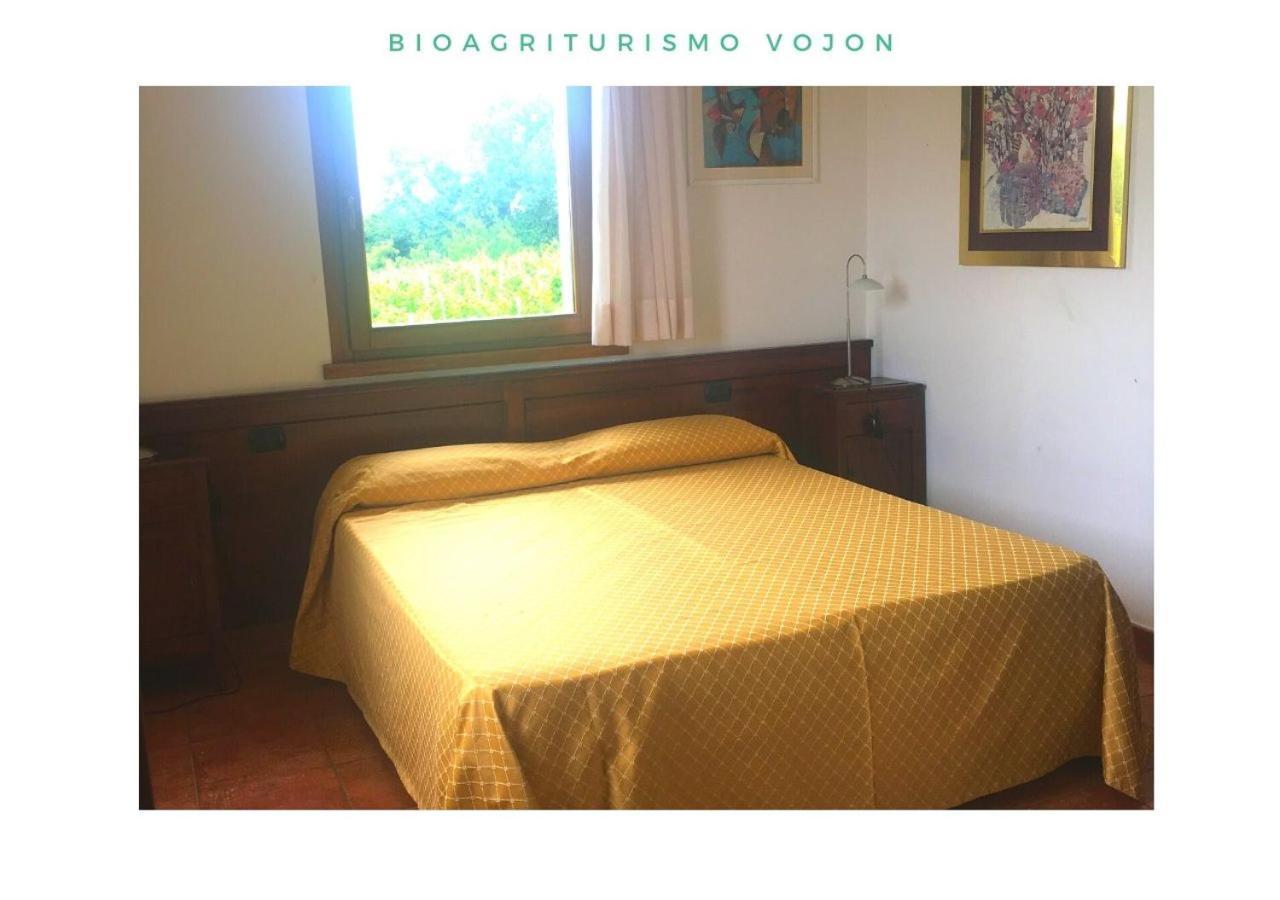 Bio Agriturismo Vojon Понти-суль-Минчо Экстерьер фото