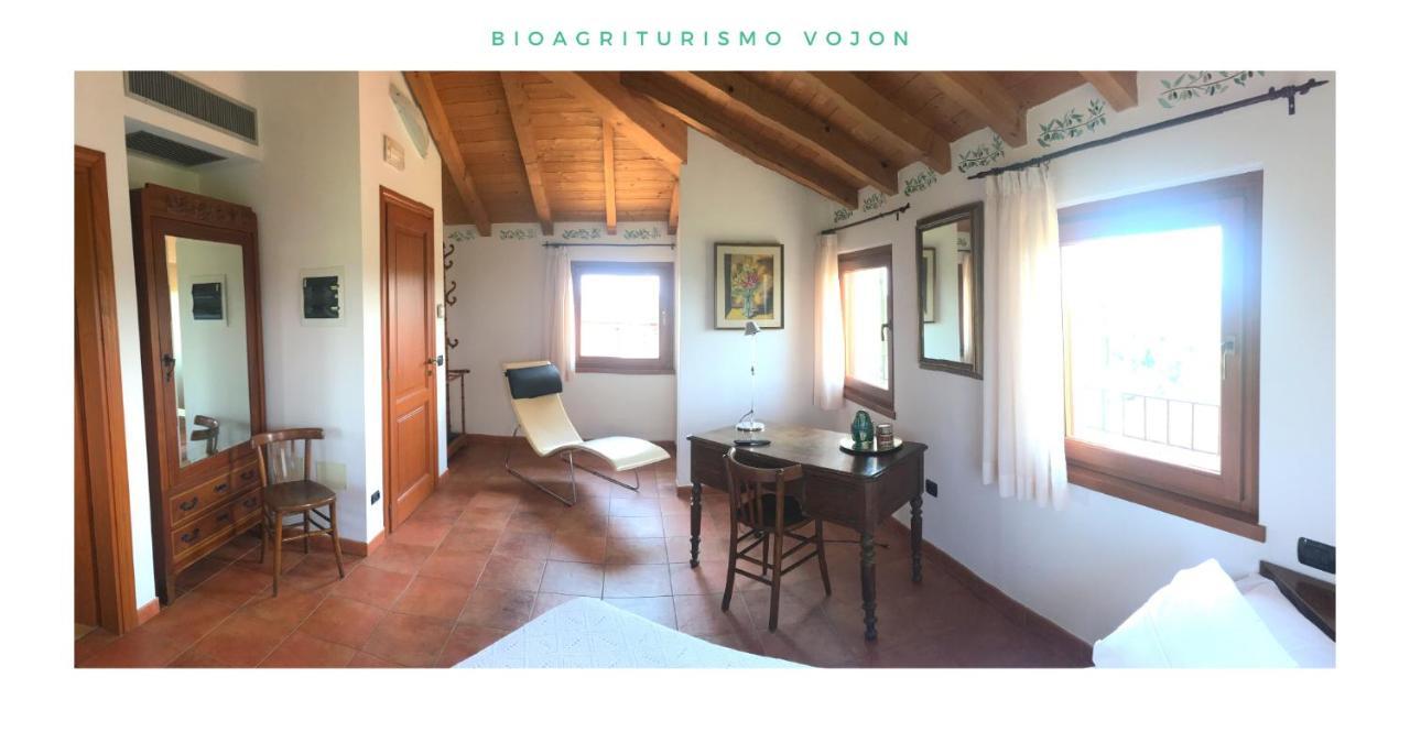 Bio Agriturismo Vojon Понти-суль-Минчо Экстерьер фото