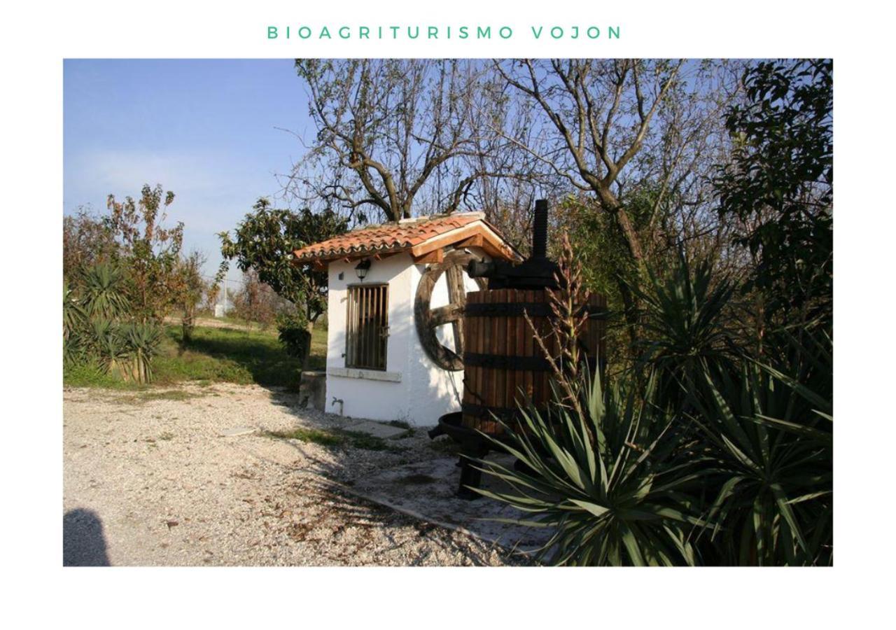 Bio Agriturismo Vojon Понти-суль-Минчо Экстерьер фото