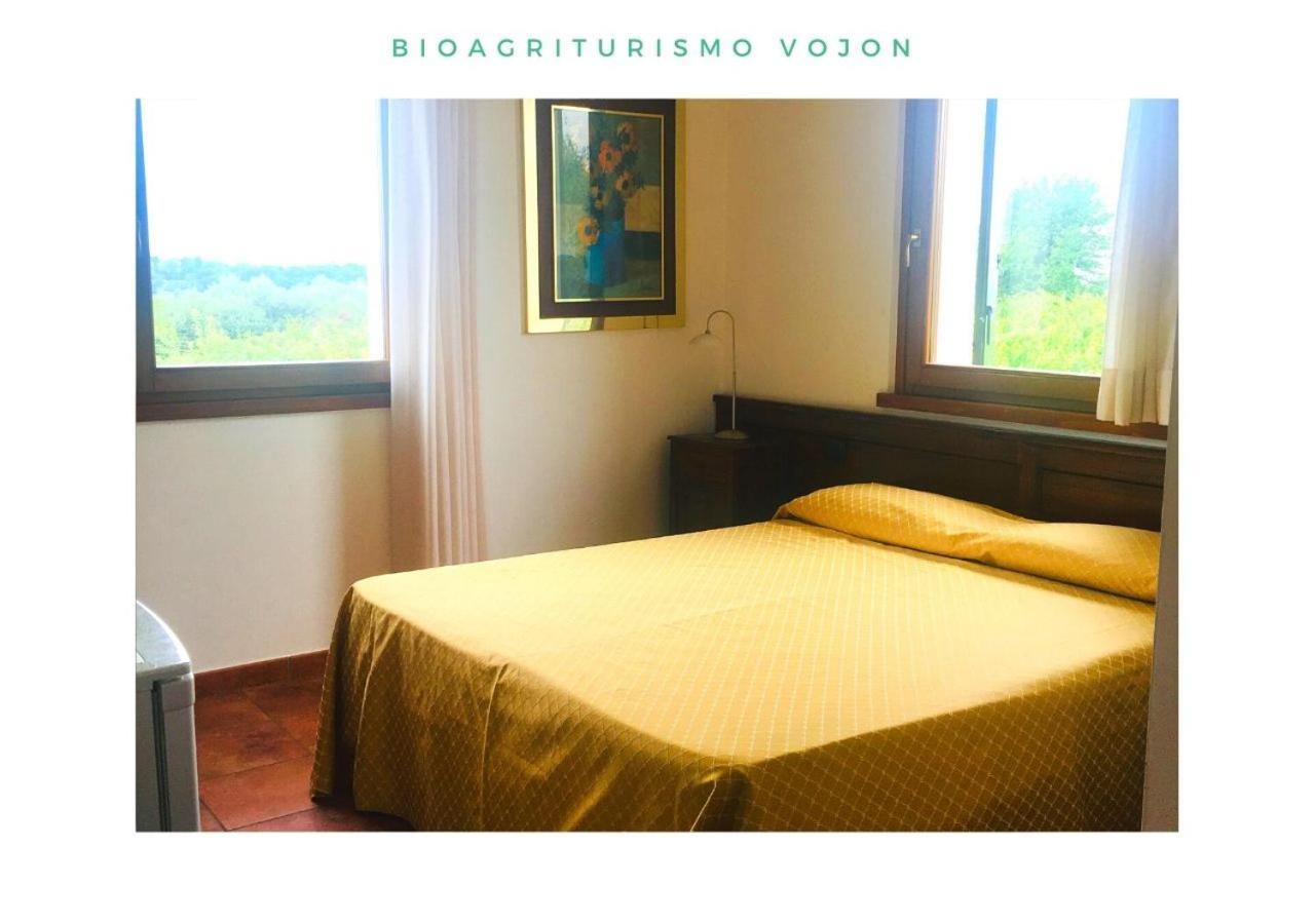 Bio Agriturismo Vojon Понти-суль-Минчо Экстерьер фото
